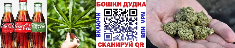 Cannafood конопля  блэк спрут маркетплейс  Костомукша  как найти закладки 