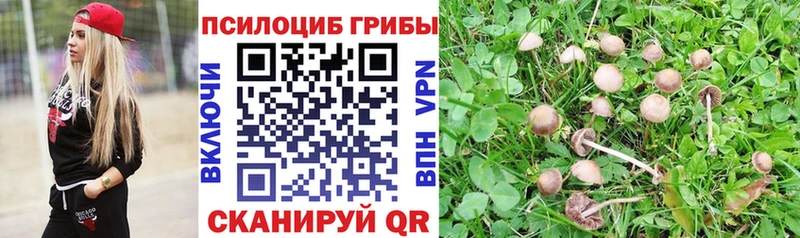 Псилоцибиновые грибы ЛСД  Костомукша 